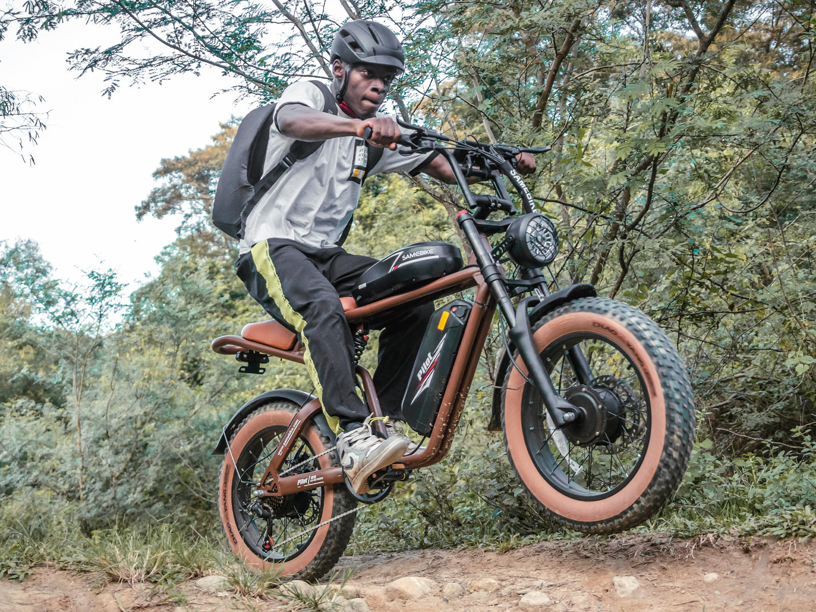 M20-III Off Road Peak 3000W Fat Tire Electric Bike