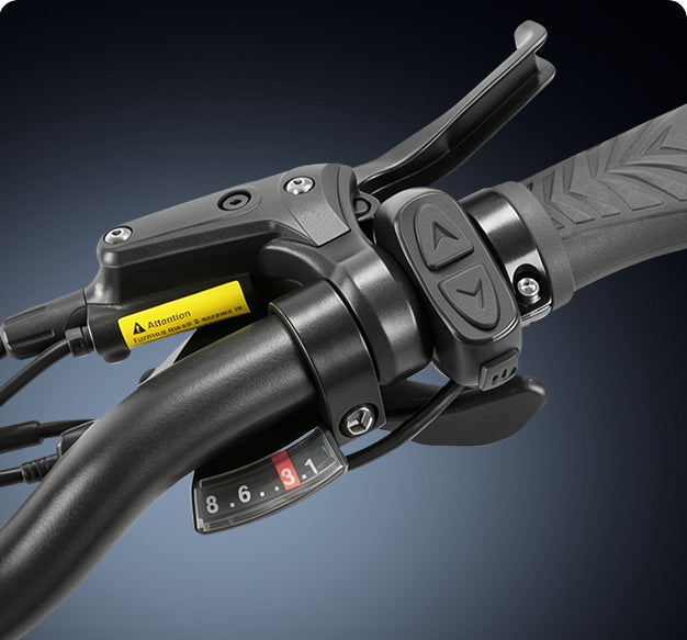 Shimano 8-Speed Gearing
